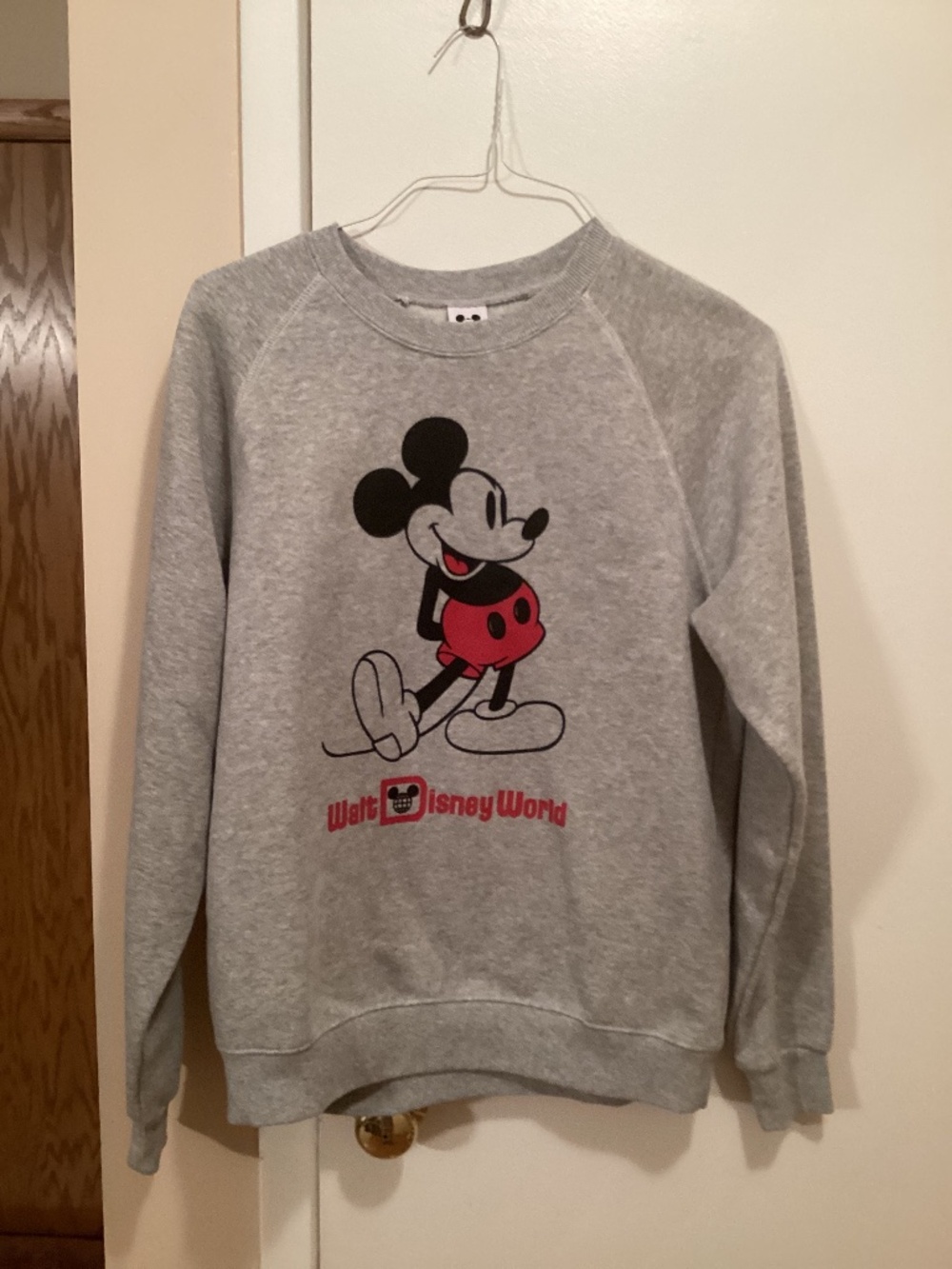 Walt Disney World Mickey sweatshirt (M)